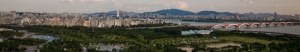 서울, 다치기 쉬운  우리의 뿌리